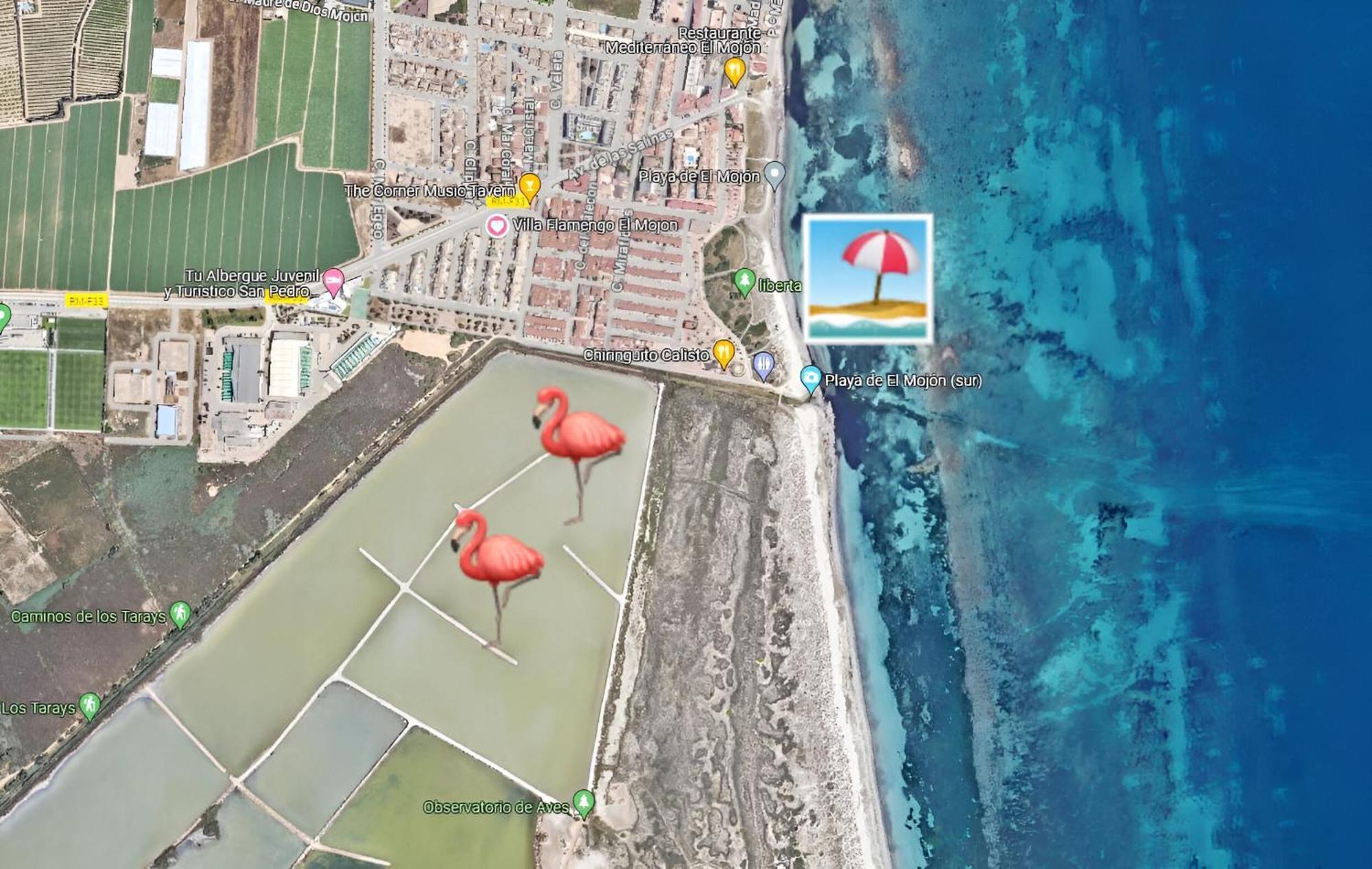Flamingo Vila Alicante San Pedro del Pinatar Exterior photo